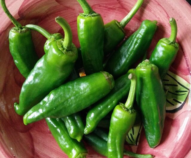 Gefüllte Hähnchen-Jalapenos